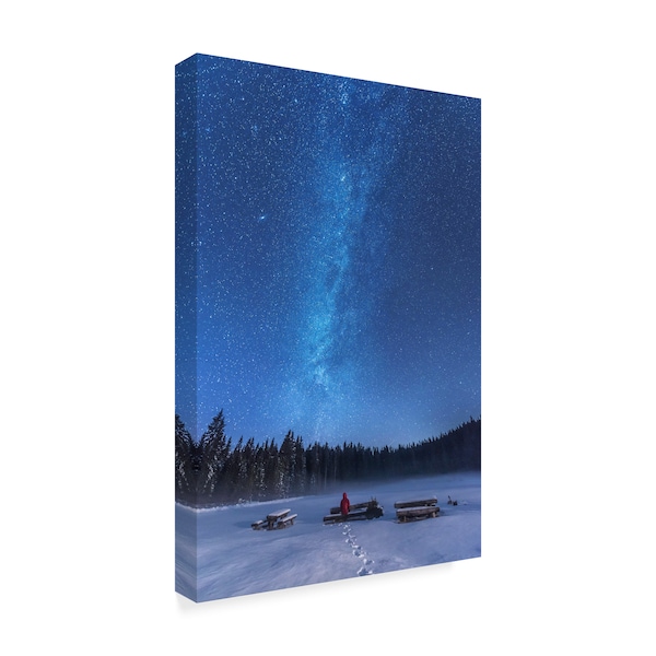 Ales Krivec 'Under The Starry Night' Canvas Art,22x32